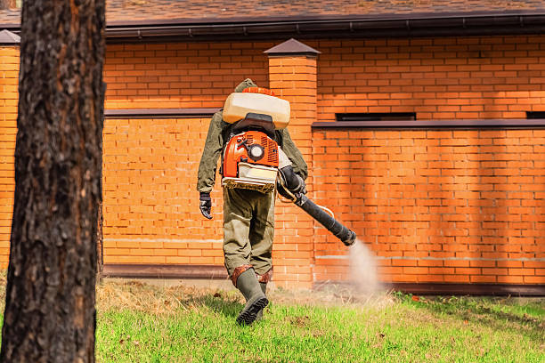 Trusted Rodent Control service in Taylor Creek, OH - Nex Pest Control